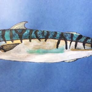 Mackerel