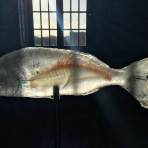 Fishbone