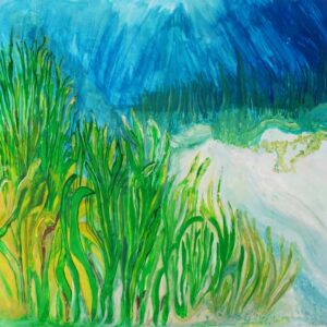 Submerged Vegetation